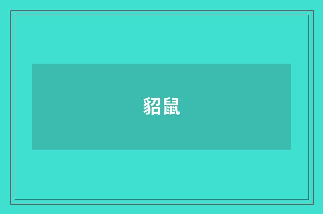 貂鼠