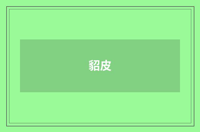 貂皮