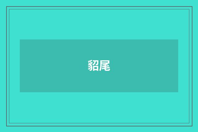 貂尾