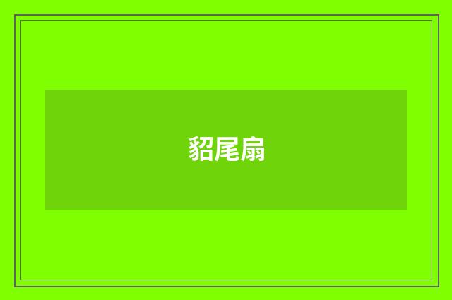 貂尾扇