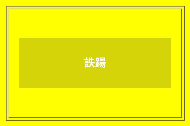 詄踼