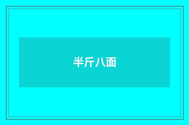 半斤八面