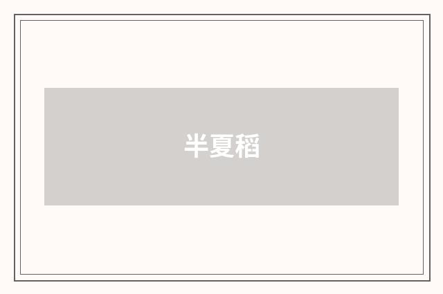 半夏稻