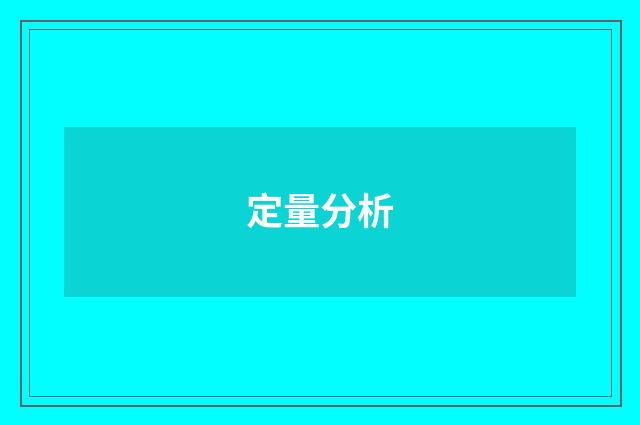 定量分析