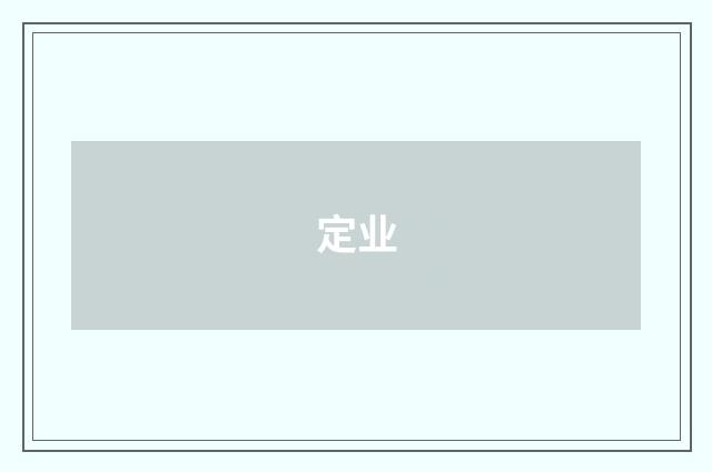 定业