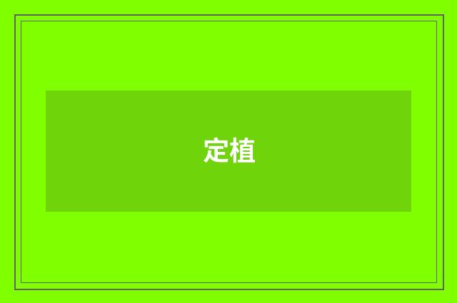 定植