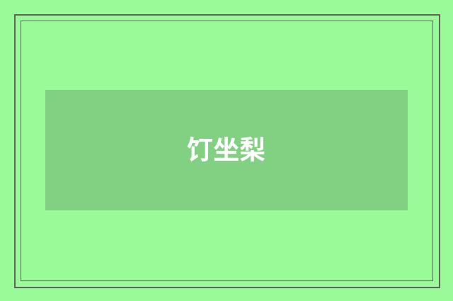 饤坐梨