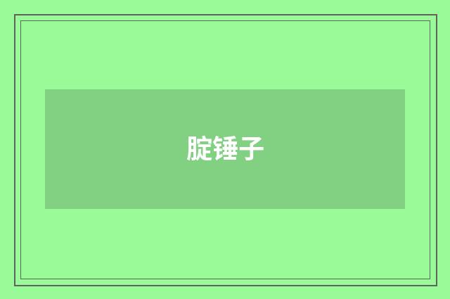 腚锤子