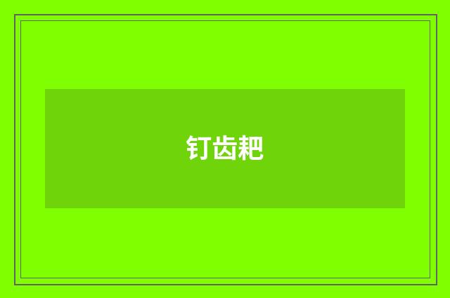 钉齿耙