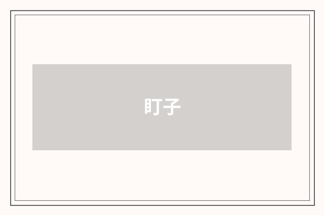 盯子