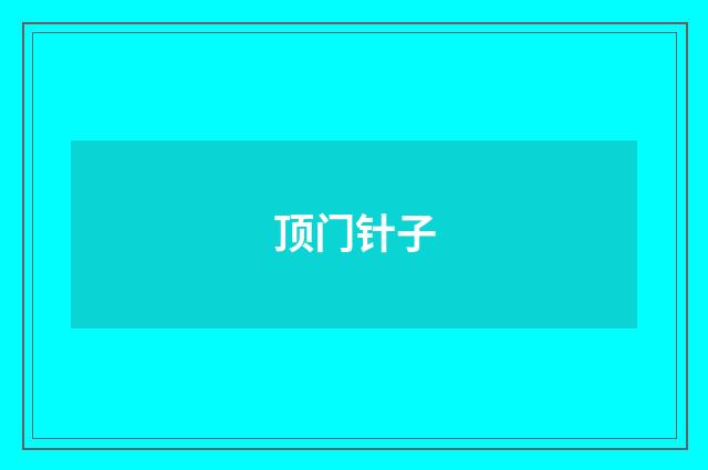 顶门针子