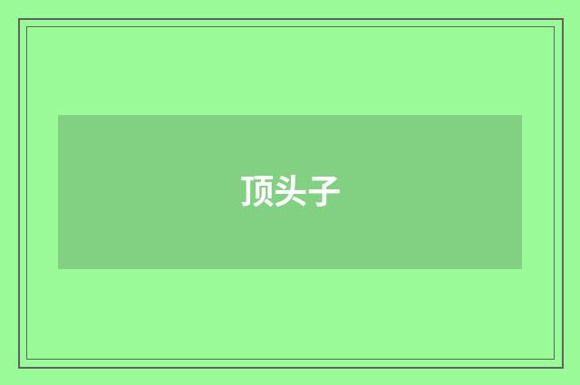 顶头子