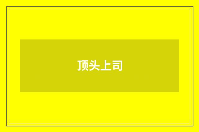 顶头上司