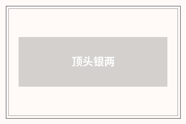 顶头银两