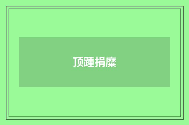 顶踵捐糜