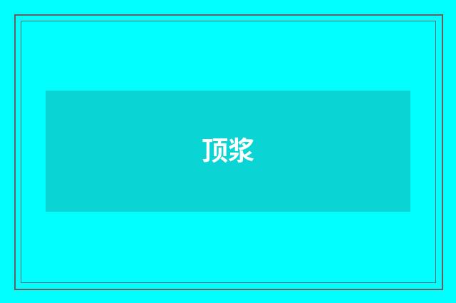 顶浆