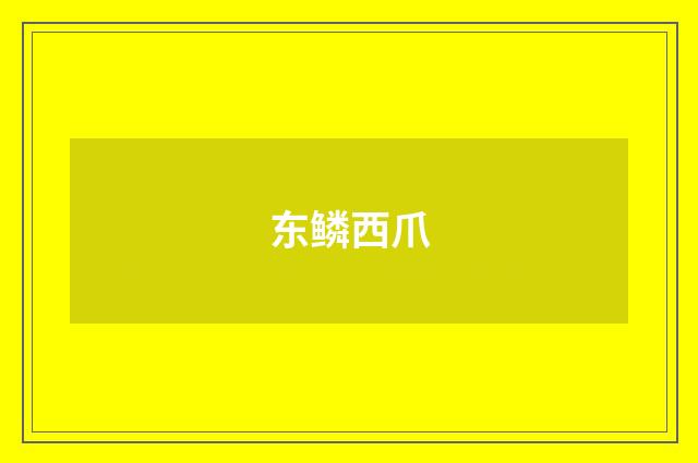 东鳞西爪