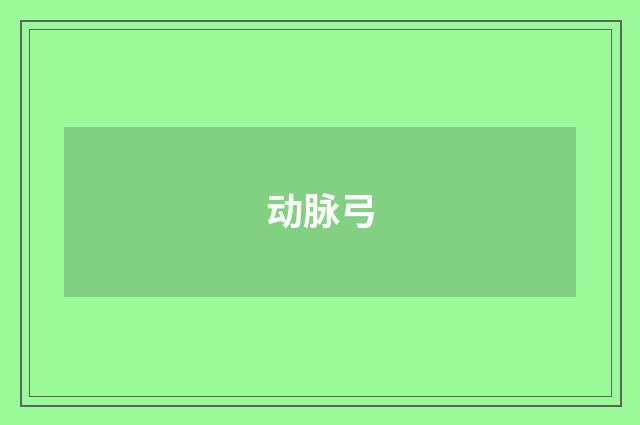 动脉弓