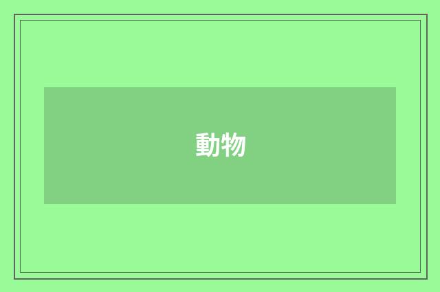 動物