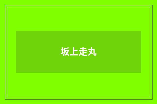坂上走丸