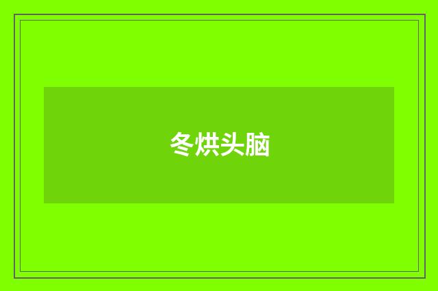 冬烘头脑