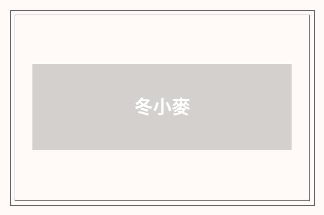 冬小麥