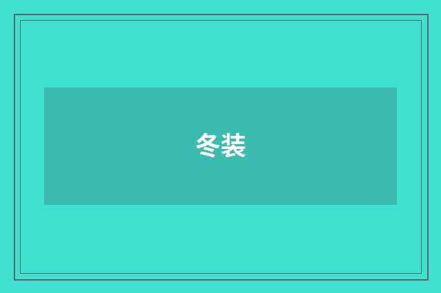 冬装