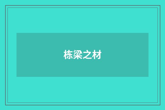 栋梁之材