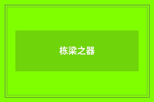 栋梁之器