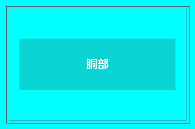 胴部