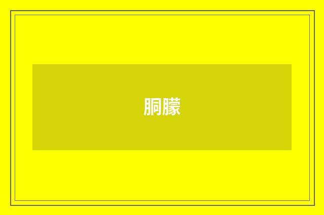 胴朦