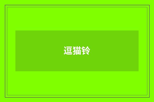 逗猫铃