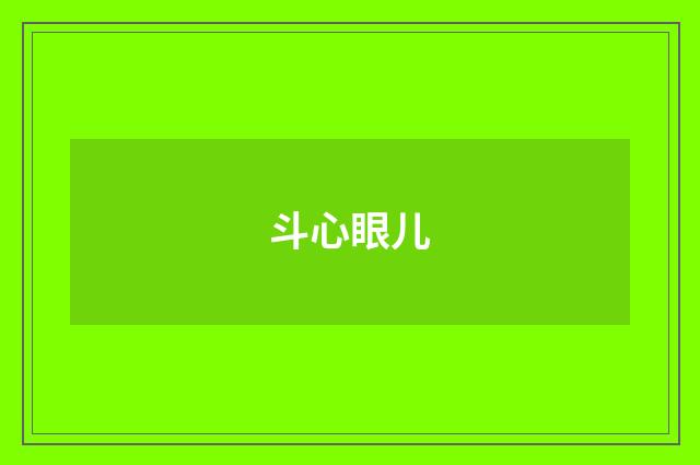 斗心眼儿
