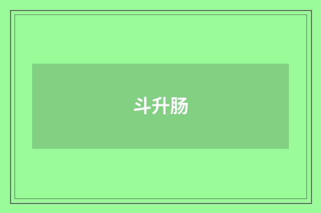 斗升肠