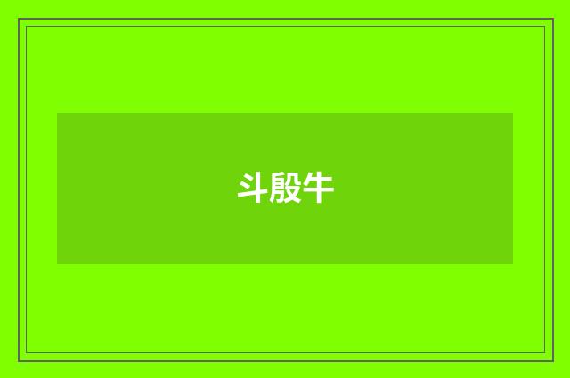 斗殷牛