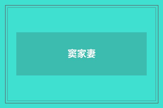 窦家妻