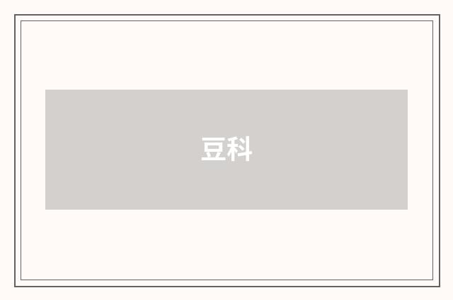 豆科