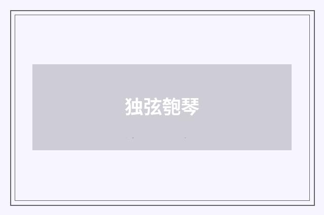 独弦匏琴