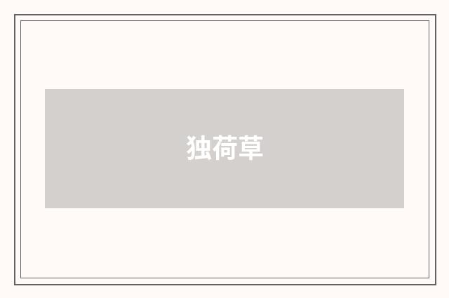 独荷草