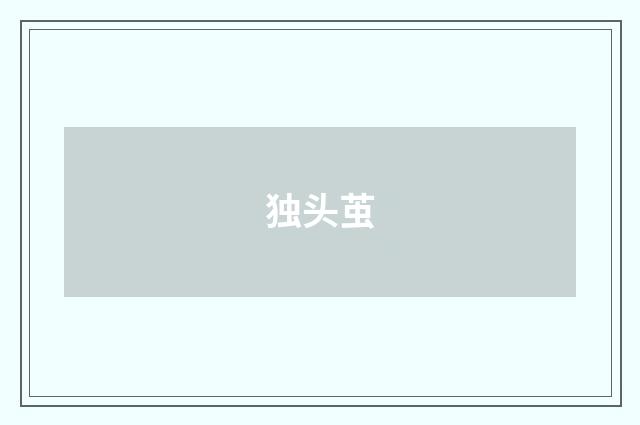 独头茧