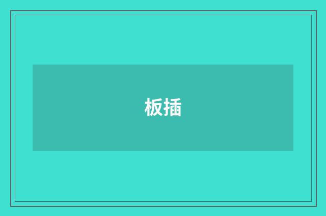 板插