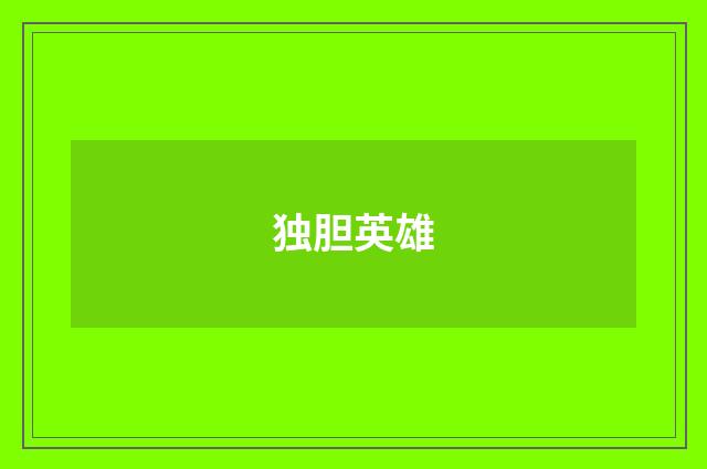 独胆英雄