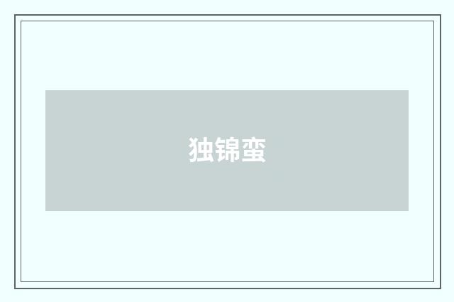独锦蛮