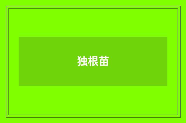 独根苗