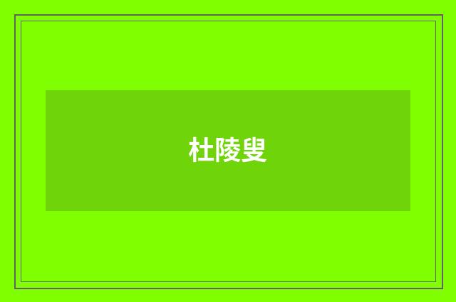 杜陵叟