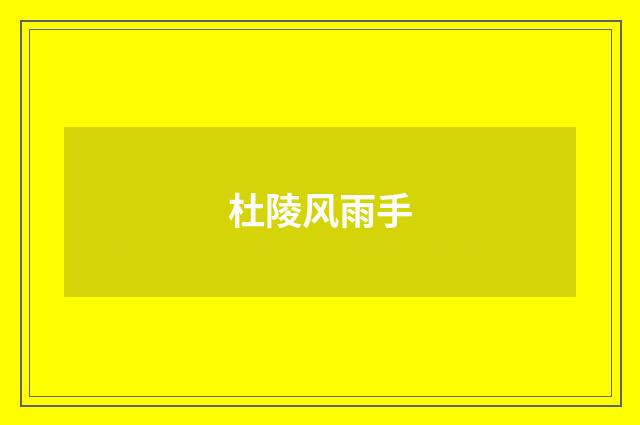 杜陵风雨手