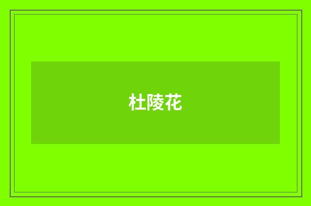 杜陵花