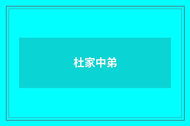 杜家中弟