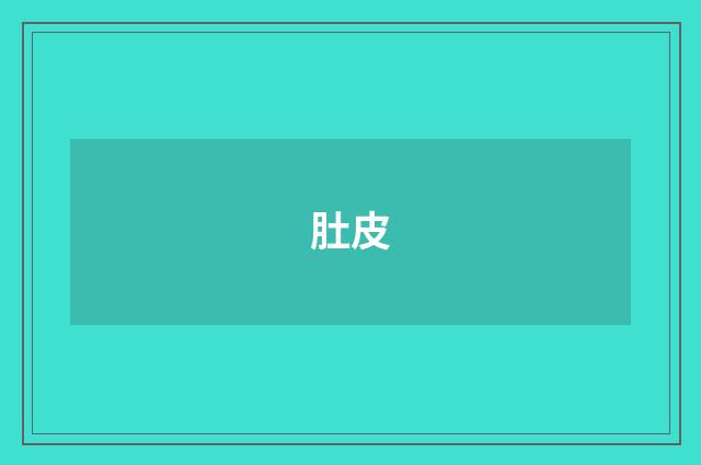 肚皮