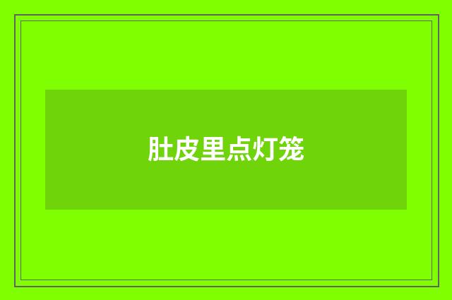 肚皮里点灯笼